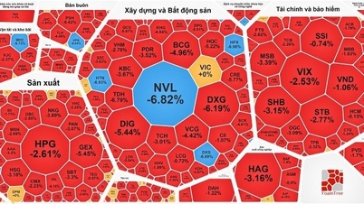 Bán tháo trên diện rộng, chứng khoán giảm sâu