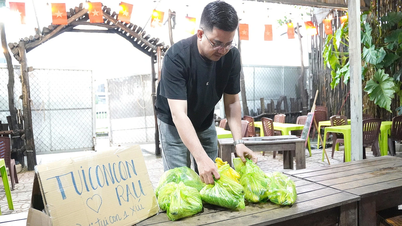 From the filial vegetable garden to a beautiful story in the heart of Tay Do
