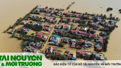 Ngành TN&MT hưởng ứng Tuần lễ quốc gia Phòng, chống thiên tai năm 2023