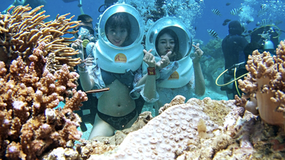 Diving not recommended at Hon Mun sanctuary that was bleached