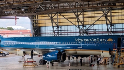 ក្រុមហ៊ុន Pacific Airlines ជួលយន្តហោះ Vietnam Airlines ដើម្បីបង្កើនជើងហោះហើររដូវក្តៅ