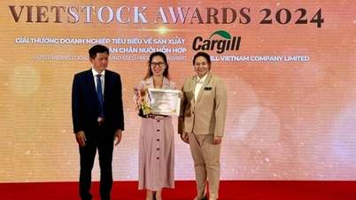 Cargill ទទួលបានពានរង្វាន់ពីរដងនៅឯពិព័រណ៍ Vietstock 2024