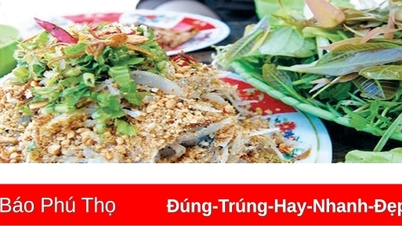 สลัดปลาคาร์ฟฮังโล