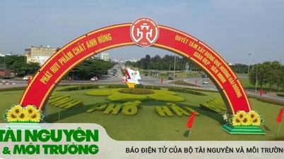 Hàng loạt dự án sai phạm về đất đai được Thanh tra Chính phủ chỉ rõ