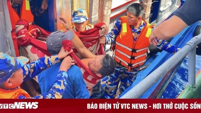 នាវិក​ម្នាក់​នៅ Phu Yen ត្រូវ​បាន​ម៉ាលីន​ចាក់​ចំ​ពោះ។