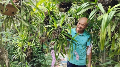 សួនផ្កាអ័រគីដេព្រៃរបស់កសិករនៅបាកានដែលមានផ្ការីកដូចទឹកហូរ ក៏ចិញ្ចឹមសត្វព្រៃមួយប្រភេទផងដែរ។