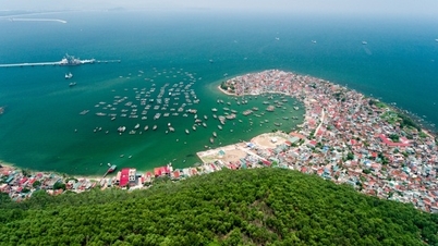 https://baogialai.com.vn/tham-dinh-quy-hoach-tong-the-khai-thac-su-dung-ben-vung-tai-nguyen-vung-bo-post241521.html