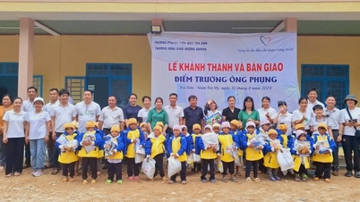 Quảng Nam đưa loạt trường học tiền tỉ vào sử dụng