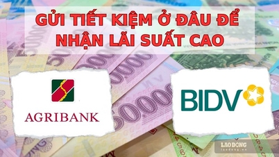 Full set of BIDV and Agribank interest rates at the end of December