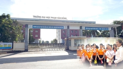 Khối ngành Sư phạm đang "hot", trường đại học ở Quảng Ngãi được tăng chỉ tiêu tuyển sinh năm 2024