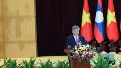 ឧស្សាហកម្មកៅស៊ូវៀតណាមក្នុងប្រទេសឡាវទទួលបានប្រាក់ចំណេញលើសពីផែនការ