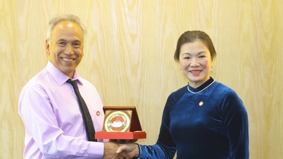 អនុប្រធានរដ្ឋ Truong Thi Ngoc Anh បានទទួលជួបគណៈប្រតិភូបក្សកុម្មុយនិស្តអាមេរិក។