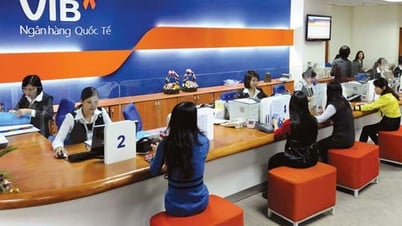 Cancellation of sale order of millions of shares of a woman related to VIB chairman Dang Khac Vy