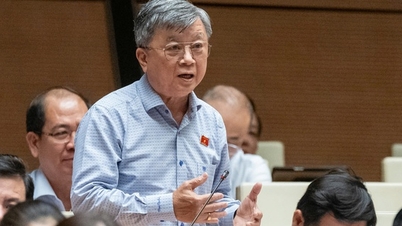 No regulations on pricing of mineral exploitation rights
