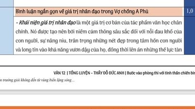 Luyện đề nghị luận văn học
