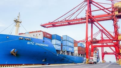 THILOGI provides complete logistics solutions for durian export