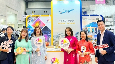 Da Nang promotes its destination at Japan's largest tourism fair - Tourism Expo Japan 2024