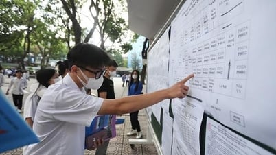 Những sai lầm khiến thí sinh trúng tuyển đại học sớm trượt oan