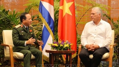 Вьетнам и Куба укрепляют оборонное сотрудничество