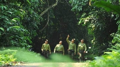 Vừa thu nghìn tỷ từ bán CO2, Bộ Nông nghiệp xin bán thêm 5,9 triệu tấn