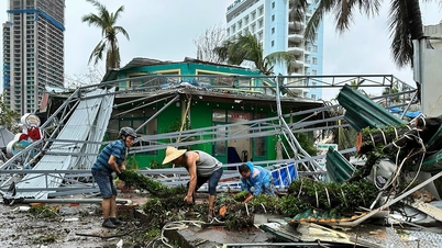 Some network operators lost over 50% of their network in storm number 3.