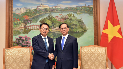 Japan's most populous province wants a Vietnamese consulate general