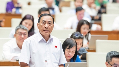 Cần xử lý cương quyết để không dám lơ là phòng cháy