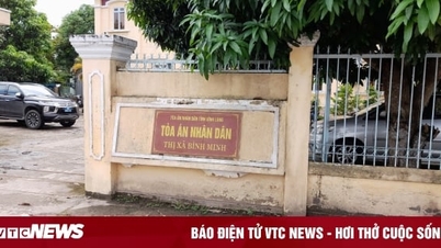 ចៅ​ក្រម​ស្រី​ត្រូវ​បាន​ចាប់​ខ្លួន​ដោយ​ទាម​ទារ​សំណង​ជំងឺ​ចិត្ត​ចំនួន ៥០​លាន​ដុង