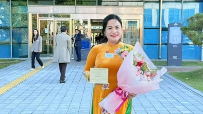 នាយក​សាកលវិទ្យាល័យ​វៀតណាម​ម្នាក់​ត្រូវ​បាន​គេ​ទទួល​ស្គាល់​ថា​ជា​ពលរដ្ឋ​កិត្តិយស​របស់​កូរ៉េ។