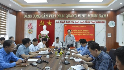 Thứ trưởng Hoàng Minh Sơn làm việc với tỉnh Thái Nguyên về khắc phục thiệt hại bão số 3