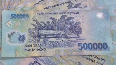 Lãi suất cao nhất Agribank, gửi 150 triệu nhận 14,4 triệu đồng