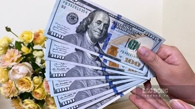 Tỷ giá ngoại tệ, tỷ giá Yên Nhật, giá USD chợ đen hôm nay 13.7