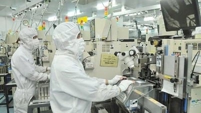積極的に機会を実現する