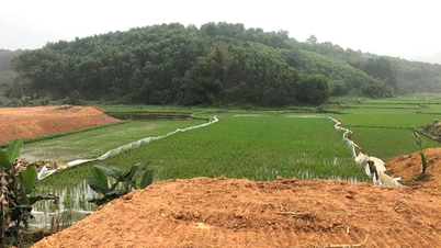 El segmento de tierras agrícolas se mantiene tranquilo