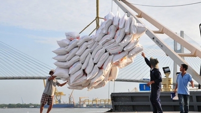 Agricultural, forestry and fishery exports officially exceed 2024 target