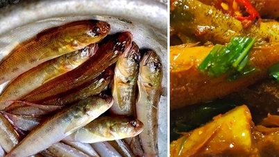 ដើរកាត់ទន្លេ Cu De ក្នុងទីក្រុង Da Nang ដើម្បីចាប់ត្រី goby ប្រជាជនប្រកួតប្រជែងទិញវាជាកំណប់រមៀតដើម្បីព្យាបាលអ្នកមាន