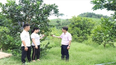 Yên Sơn (Tuyên Quang): Không ngừng nâng cao hiệu quả công tác giảm nghèo