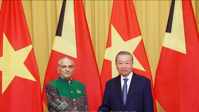 Chủ tịch nước Tô Lâm hội đàm với Tổng thống Timor Leste