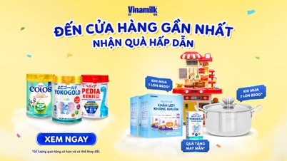 Promotional Program Rules When Purchasing Yokogold, Colosgold, Pedia Kenji Nutritional Milk Powder