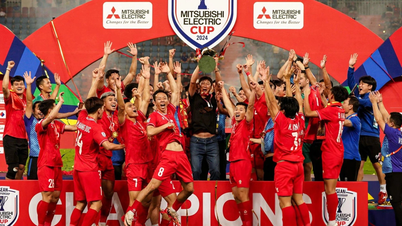 ក្រុមវៀតណាមឈ្នះពាន AFF Cup៖ ស្នាមប្រឡាក់នៅលើបល្ល័ង្ក ដែលជាបន្ទះចាប់ផ្តើមសម្រាប់អនាគត