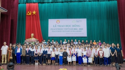 حصل 66 طالبًا في كوانغ بينه على منح دراسية من PeaceTrees Vietnam