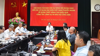 Phát huy tinh thần phục vụ, không ngừng nâng cao hiệu quả công tác lãnh sự và bảo hộ công dân