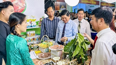 ទីផ្សារឌីជីថលដំបូងគេ