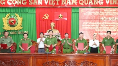 Police of 7 provinces and cities in the Mekong Delta region coordinate to combat illegal sand mining