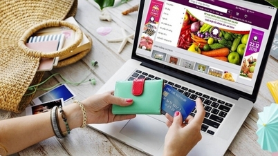 Hanoi ranks second in the country in e-commerce development.