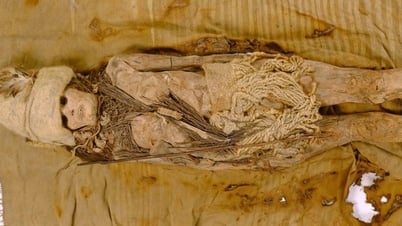 Trung Quốc phát hiện pho mát lâu đời nhất thế giới được chôn cùng xác ướp