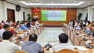 អង្ករ "បៃតង" មានតម្លៃ 200-300 ដុង/គីឡូក្រាម ខ្ពស់ជាងអង្ករធម្មតា។