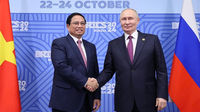 Conversaciones entre el primer ministro Pham Minh Chinh y el presidente de la Federación Rusa, Vladimir Putin