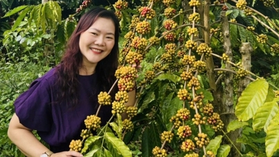 Cà phê thế giới "lao dốc"