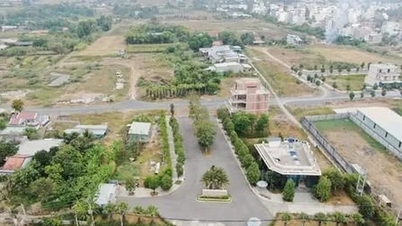 ប្រធាន​ក្រុមហ៊ុន An Phu Sinh ត្រូវ​ផ្អាក​ការ​ចាកចេញ​ពី​ប្រទេស​ជា​បណ្ដោះអាសន្ន​ដោយសារ​បំណុល​ពន្ធ​ចំនួន ១២៤,២ ពាន់​លាន​ដុង